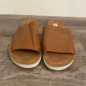 Steve Madden Slides